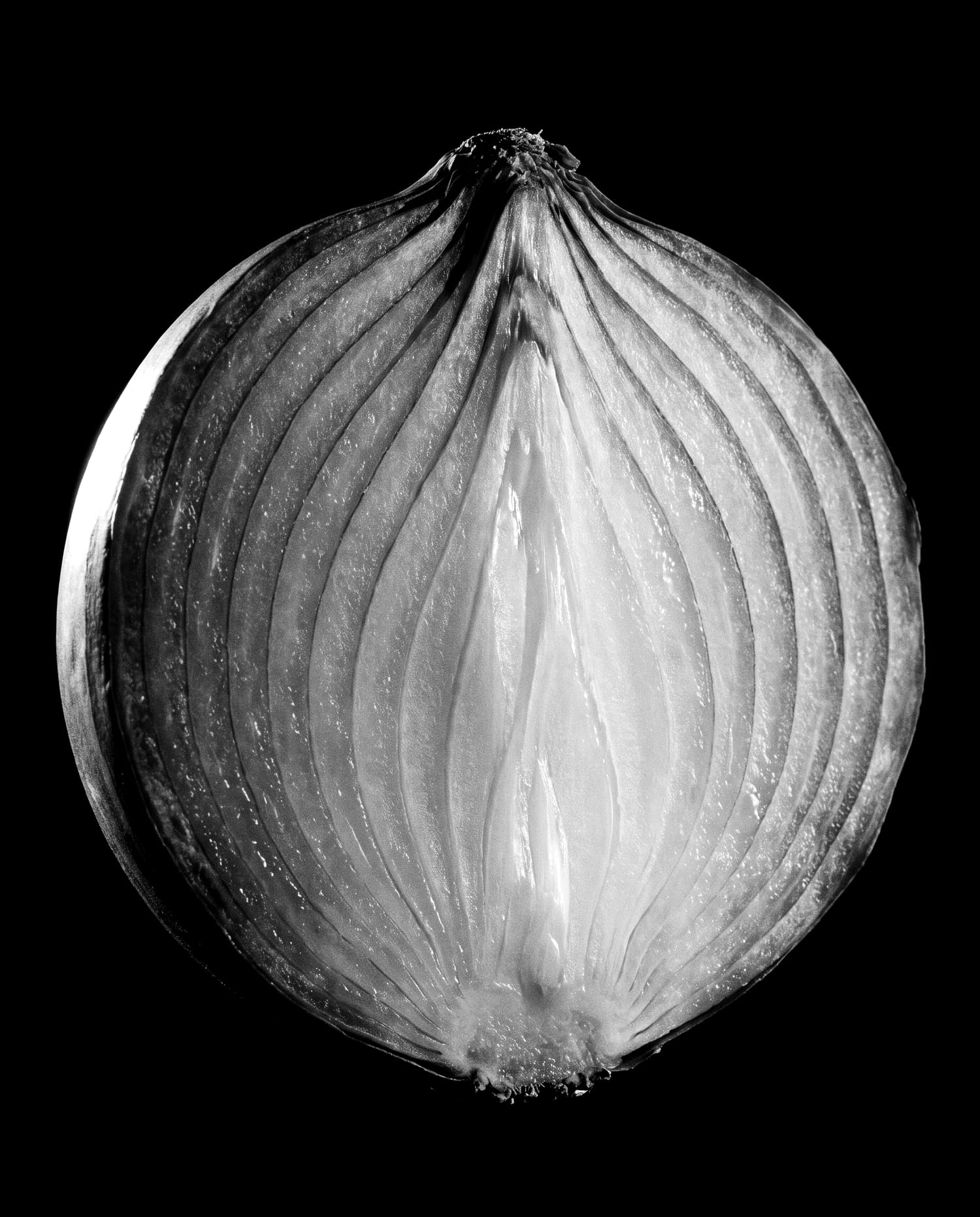 An onion cut in half, its layers lit from the side.